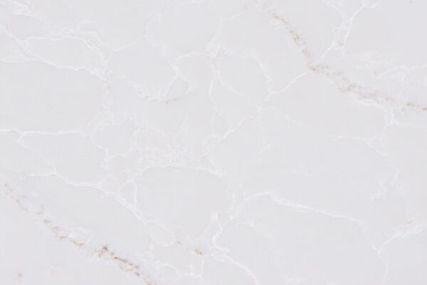 9186-3-MIDDLE DETAIL 2