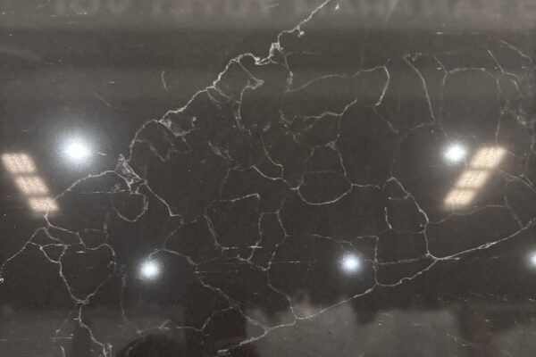 z7384307382901_03e3641428487fd6e53cf9caf82366d6