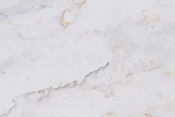 9175-2-LEFT DETAIL 2